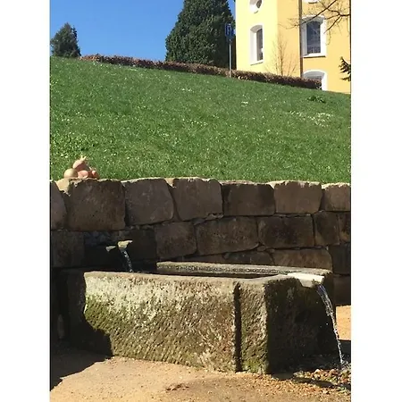 Vacation בית נופש