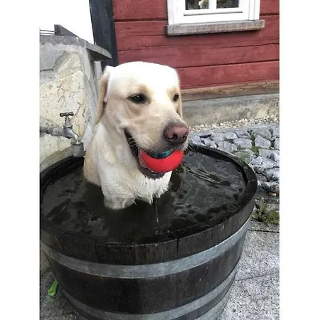 Vacation בית נופש גרוסשונאו