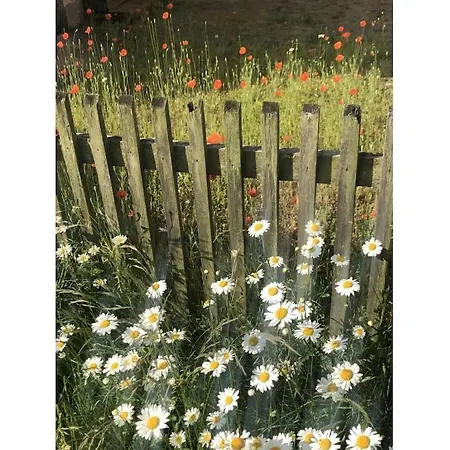 בית נופש Vacation