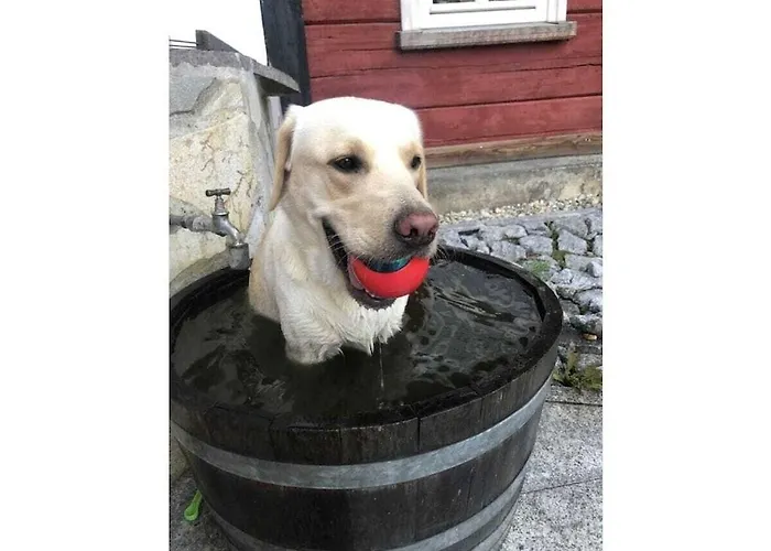 Vacation بيت للعطل غروسشوناو