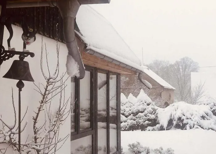 بيت للعطل Vacation