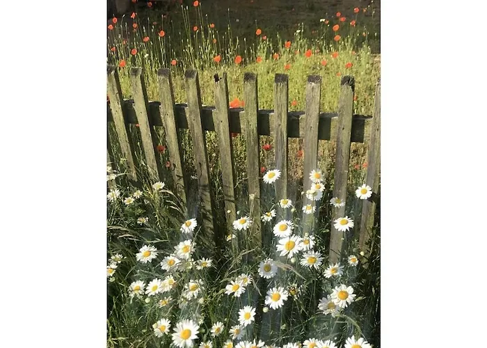 بيت للعطل Vacation